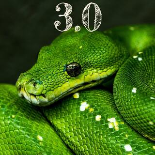 python 30