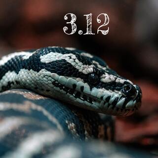 python 312