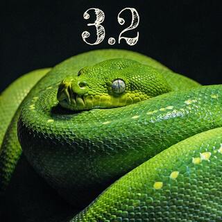 python 32