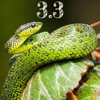 python 33