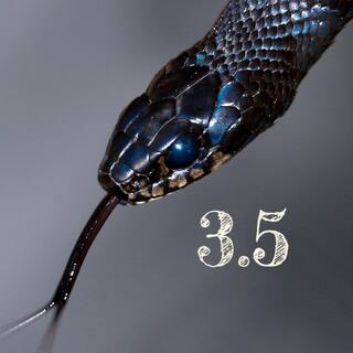 python 35